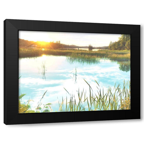 Sunny Marsh Black Modern Wood Framed Art Print by Prime, Marcus