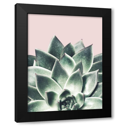 Succulent Queen Black Modern Wood Framed Art Print by Prime, Marcus