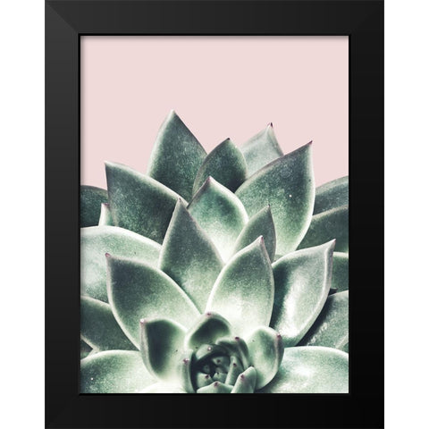 Succulent Queen Black Modern Wood Framed Art Print by Prime, Marcus