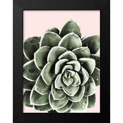 Succulent Beauty Black Modern Wood Framed Art Print by Prime, Marcus