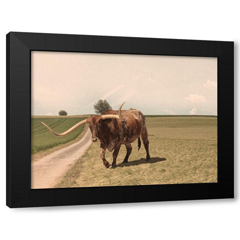 Desolate Steer 2 Black Modern Wood Framed Art Print by Prime, Marcus