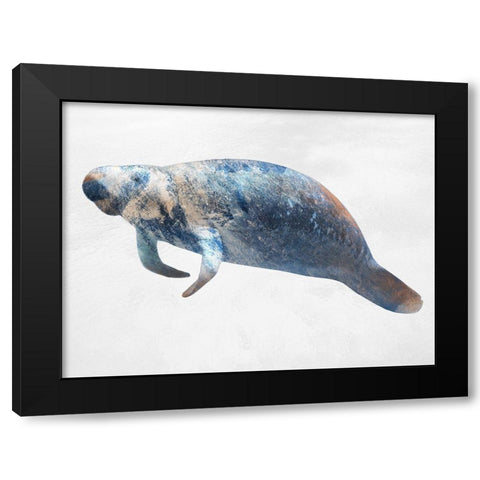 Swimming Manatee Black Modern Wood Framed Art Print with Double Matting by Prime, Marcus