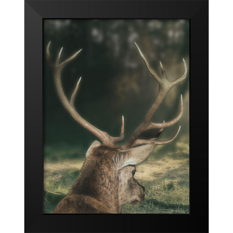 Wandering Buck Black Modern Wood Framed Art Print by Prime, Marcus