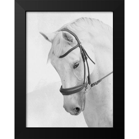 Praying Steed Black Modern Wood Framed Art Print by Prime, Marcus
