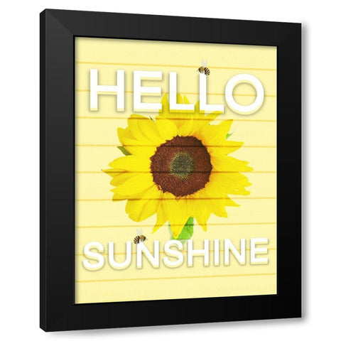 Hello Sunsine 2 Black Modern Wood Framed Art Print with Double Matting by Prime, Marcus