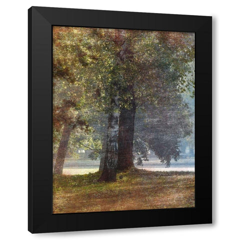 Fall Stroll 2 Black Modern Wood Framed Art Print by Prime, Marcus