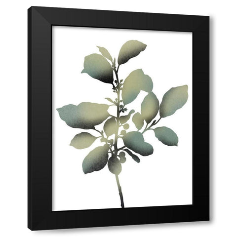 Morphism Of Dreams 2 Black Modern Wood Framed Art Print by Prime, Marcus