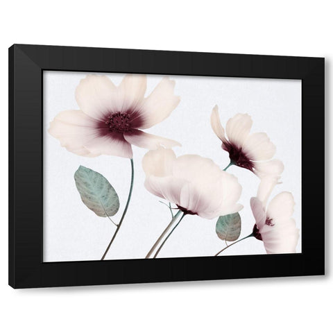 Blooming Youth 1 Black Modern Wood Framed Art Print with Double Matting by Prime, Marcus