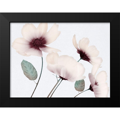 Blooming Youth 1 Black Modern Wood Framed Art Print by Prime, Marcus