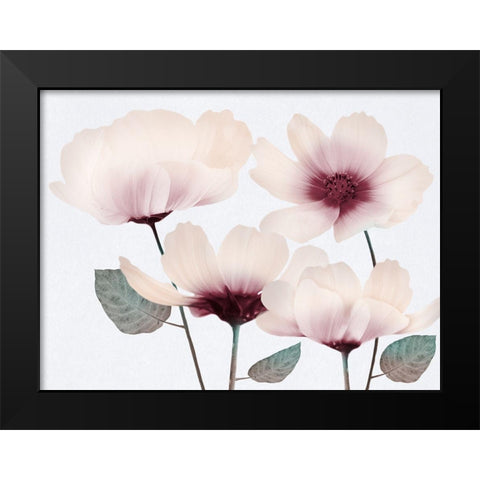 Blooming Youth 2 Black Modern Wood Framed Art Print by Prime, Marcus