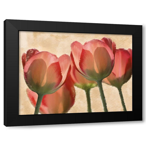 Battles Of Romance Black Modern Wood Framed Art Print by Prime, Marcus