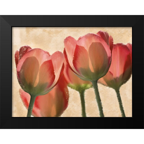 Battles Of Romance Black Modern Wood Framed Art Print by Prime, Marcus