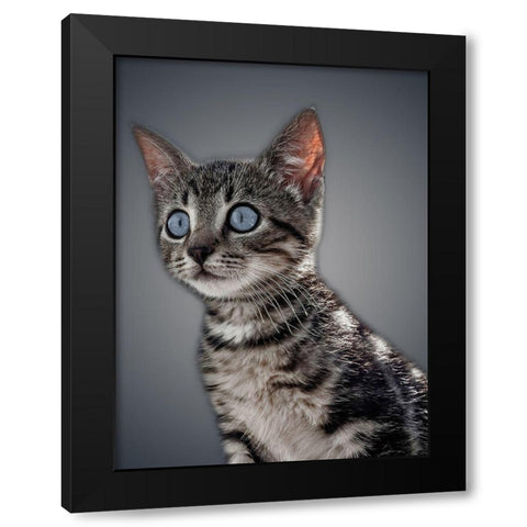 Boundless Cuteness 1 Black Modern Wood Framed Art Print with Double Matting by Prime, Marcus