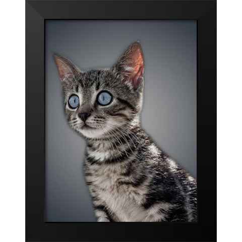 Boundless Cuteness 1 Black Modern Wood Framed Art Print by Prime, Marcus