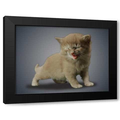 Boundless Cuteness 3 Black Modern Wood Framed Art Print with Double Matting by Prime, Marcus