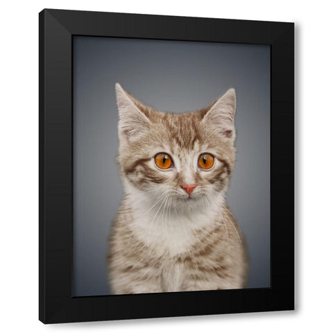 Boundless Cuteness 5 Black Modern Wood Framed Art Print by Prime, Marcus