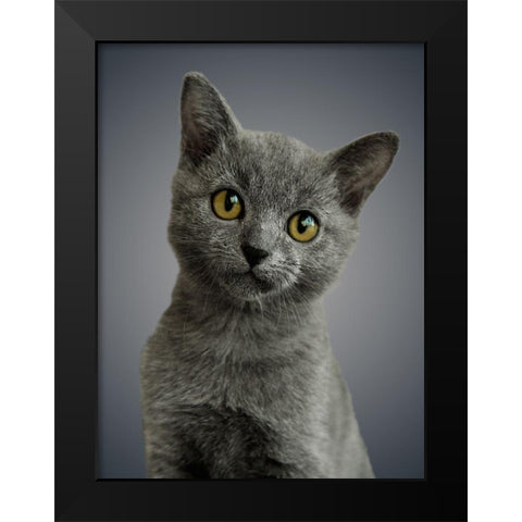 Boundless Cuteness 6 Black Modern Wood Framed Art Print by Prime, Marcus