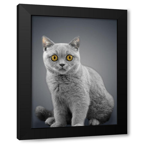 Boundless Cuteness 7 Black Modern Wood Framed Art Print with Double Matting by Prime, Marcus