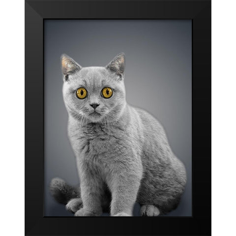 Boundless Cuteness 7 Black Modern Wood Framed Art Print by Prime, Marcus