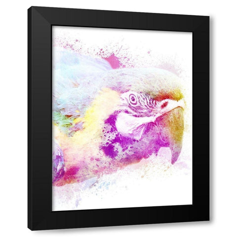 Marvelous Macaw 1 Black Modern Wood Framed Art Print with Double Matting by Prime, Marcus