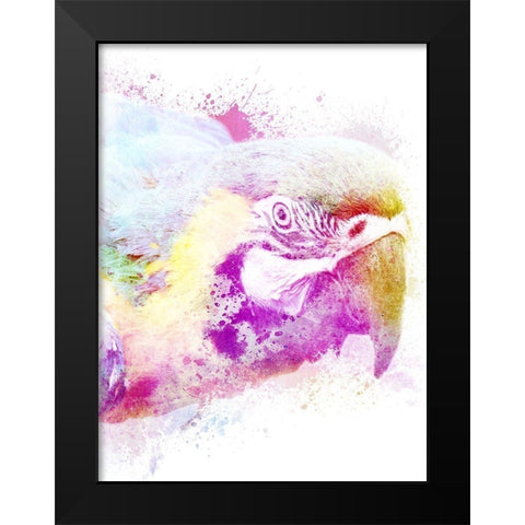 Marvelous Macaw 1 Black Modern Wood Framed Art Print by Prime, Marcus