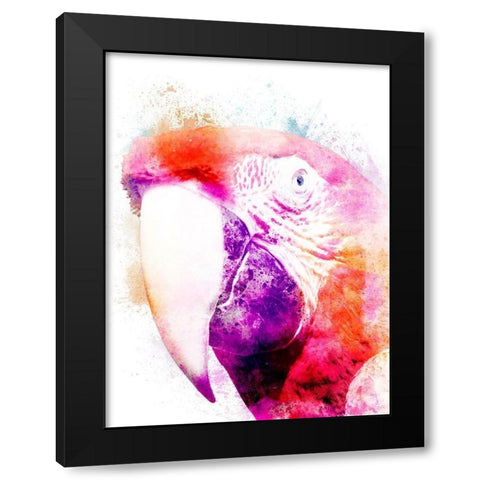 Marvelous Macaw 2 Black Modern Wood Framed Art Print with Double Matting by Prime, Marcus