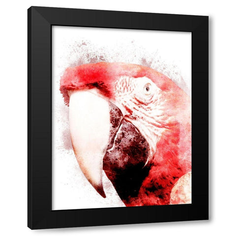 Marvelous Macaw 3 Black Modern Wood Framed Art Print with Double Matting by Prime, Marcus
