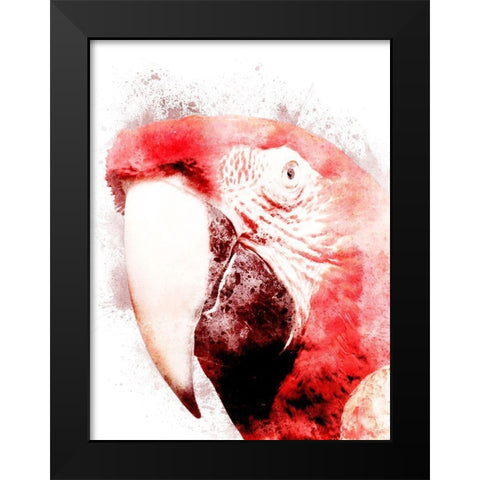 Marvelous Macaw 3 Black Modern Wood Framed Art Print by Prime, Marcus