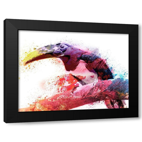 Marvelous Tucan Black Modern Wood Framed Art Print with Double Matting by Prime, Marcus