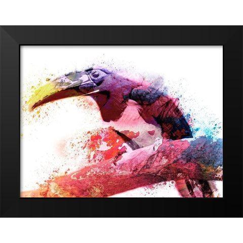 Marvelous Tucan Black Modern Wood Framed Art Print by Prime, Marcus