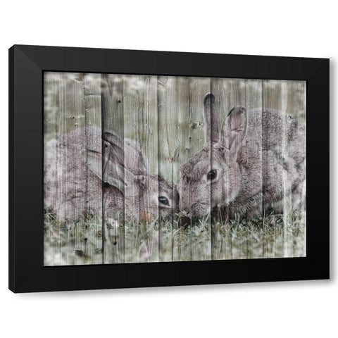 Loving Bunnies Black Modern Wood Framed Art Print by Prime, Marcus