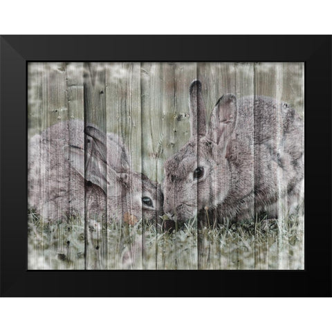 Loving Bunnies Black Modern Wood Framed Art Print by Prime, Marcus