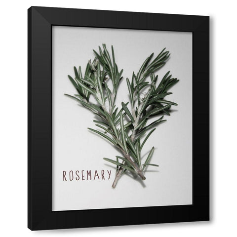 Time-Honored Rosemary 1 Black Modern Wood Framed Art Print by Prime, Marcus