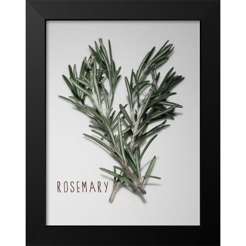 Time-Honored Rosemary 1 Black Modern Wood Framed Art Print by Prime, Marcus