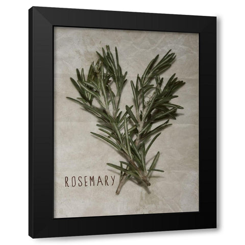 Time-Honored Rosemary 2 Black Modern Wood Framed Art Print by Prime, Marcus