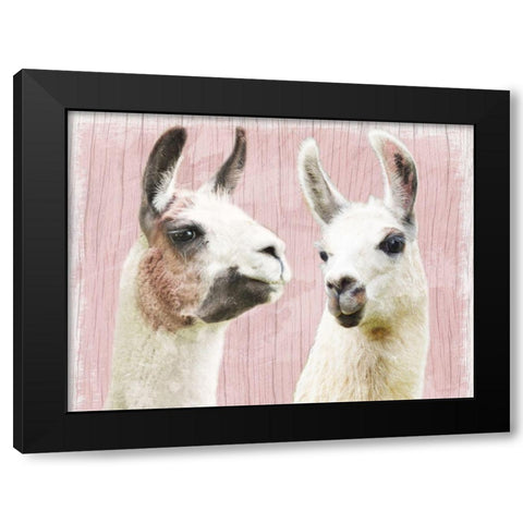 Llama Love Black Modern Wood Framed Art Print by Prime, Marcus