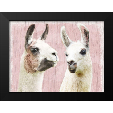 Llama Love Black Modern Wood Framed Art Print by Prime, Marcus