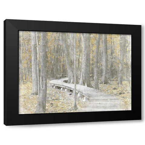 Autumn Stroll Black Modern Wood Framed Art Print by Prime, Marcus