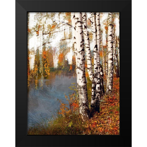 Birch Dream Black Modern Wood Framed Art Print by Prime, Marcus