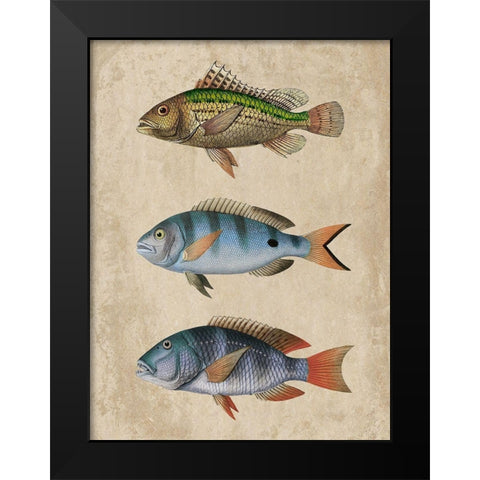 Fish Friends 1 Black Modern Wood Framed Art Print by Prime, Marcus