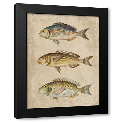 Fish Friends 2 Black Modern Wood Framed Art Print by Prime, Marcus