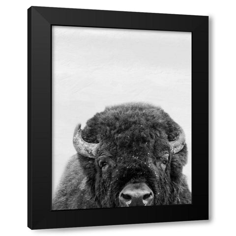 M Bison Black Modern Wood Framed Art Print with Double Matting by Prime, Marcus