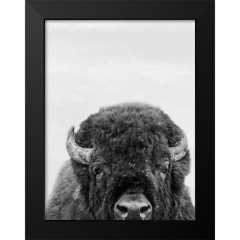 M Bison Black Modern Wood Framed Art Print by Prime, Marcus