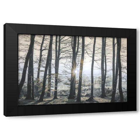 Peaceful Shine Black Modern Wood Framed Art Print by Prime, Marcus