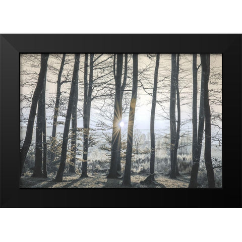 Peaceful Shine Black Modern Wood Framed Art Print by Prime, Marcus
