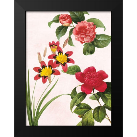 Botanical Fusion Black Modern Wood Framed Art Print by Prime, Marcus