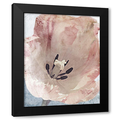 Sweet Power 1 Black Modern Wood Framed Art Print by Prime, Marcus