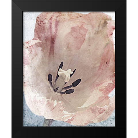 Sweet Power 1 Black Modern Wood Framed Art Print by Prime, Marcus