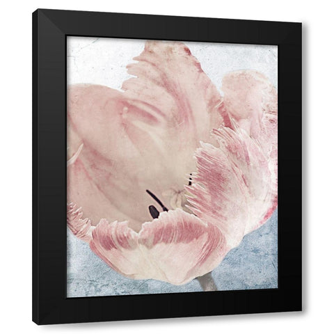 Sweet Power 2 Black Modern Wood Framed Art Print by Prime, Marcus