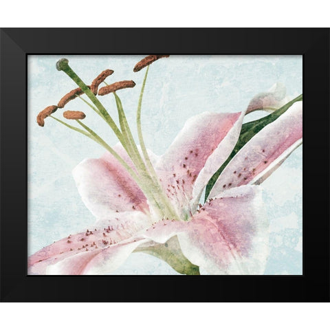 Lily Love 1 Black Modern Wood Framed Art Print by Prime, Marcus